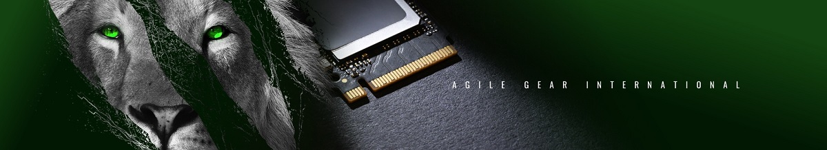 agi agi256g16ai198-03
